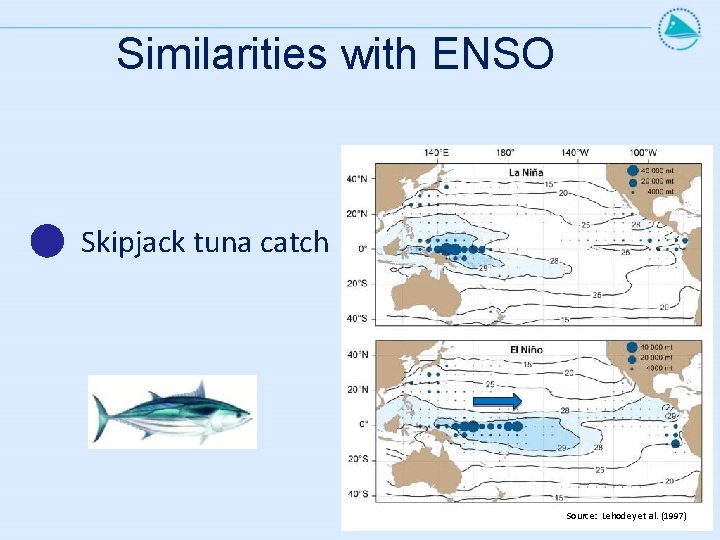 Similarities with ENSO Skipjack tuna catch Source: Lehodey et al. (1997) 