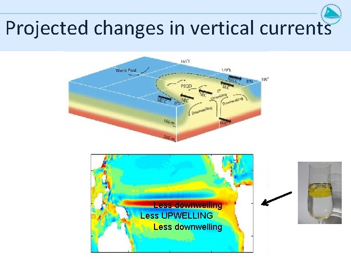 Projected changes in vertical currents Less downwelling Less UPWELLING Less downwelling 