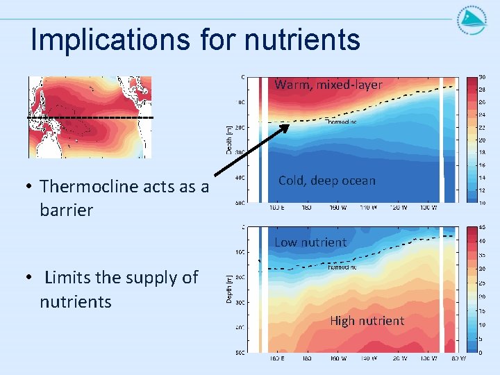 Implications for nutrients Warm, mixed-layer • Thermocline acts as a barrier Cold, deep ocean