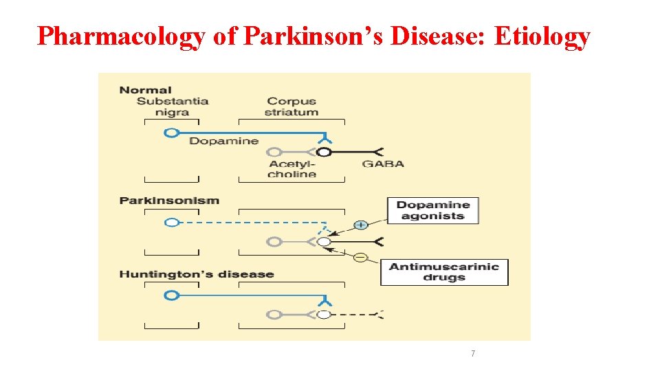 Pharmacology of Parkinson’s Disease: Etiology 7 