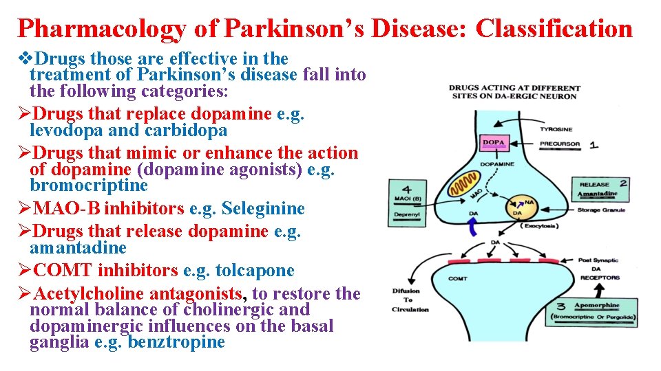 Pharmacology of Parkinson’s Disease: Classification v. Drugs those are effective in the treatment of