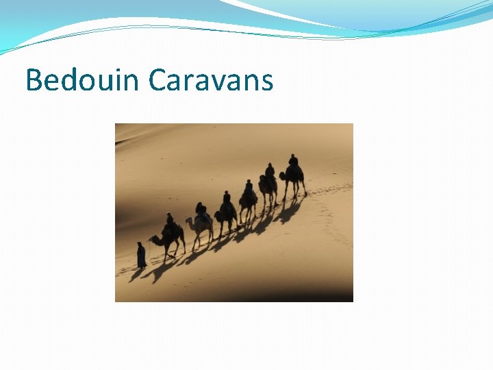Bedouin Caravans 