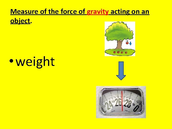 Measure of the force of gravity acting on an object. • weight 