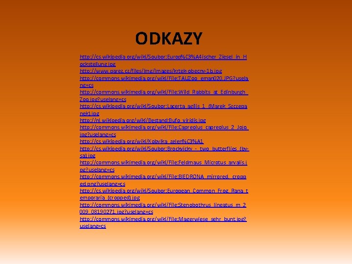 ODKAZY http: //cs. wikipedia. org/wiki/Soubor: Europ%C 3%A 4 ischer_Ziesel_in_H ockstellung. jpg http: //www. parez.