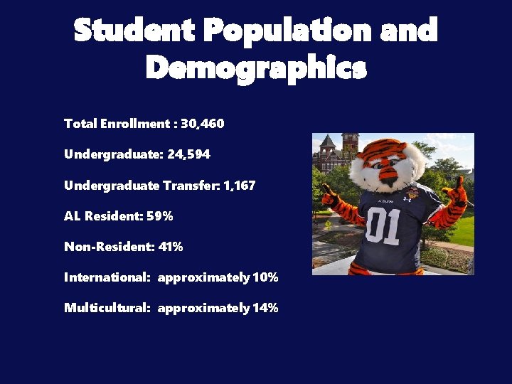 Student Population and Demographics Total Enrollment : 30, 460 Undergraduate: 24, 594 Undergraduate Transfer: