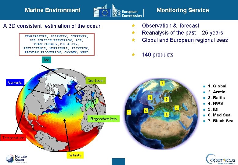 Marine Environment Monitoring Service A 3 D consistent estimation of the ocean Ice Sea