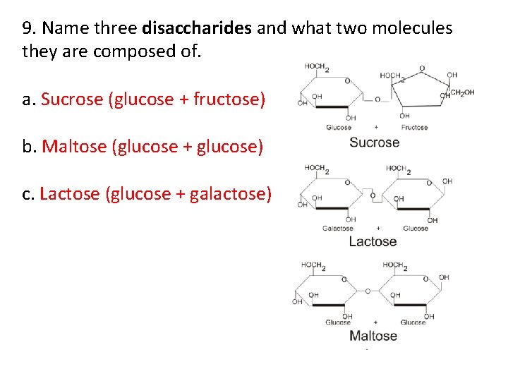 9. Name three disaccharides and what two molecules they are composed of. a. Sucrose
