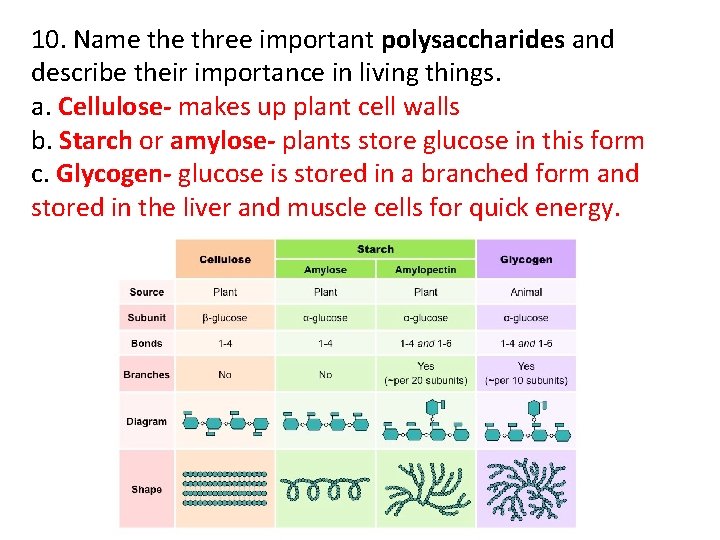 10. Name three important polysaccharides and describe their importance in living things. a. Cellulose-