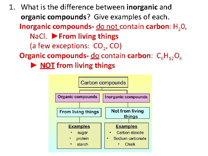1. What is the difference between inorganic and organic compounds? Give examples of each.