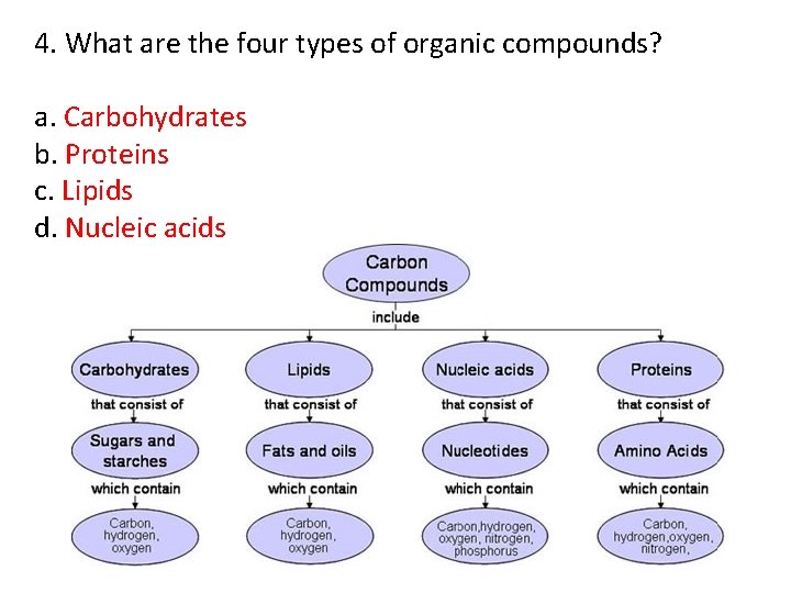 4. What are the four types of organic compounds? a. Carbohydrates b. Proteins c.