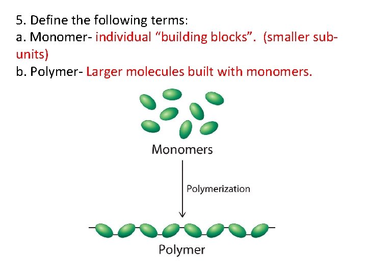 GRADING RUBRIC Worksheet Biochemistry HONORS BIOLOGY UNIT 1
