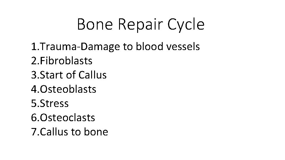 Bone Repair Cycle 1. Trauma-Damage to blood vessels 2. Fibroblasts 3. Start of Callus