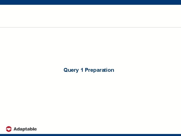 Query 1 Preparation 