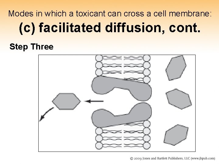 Modes in which a toxicant can cross a cell membrane: (c) facilitated diffusion, cont. Modes in which a toxicant can cross a cell membrane: (c) facilitated diffusion, cont.