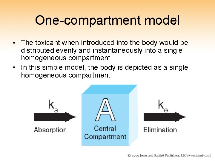 One-compartment model • The toxicant when introduced into the body would be distributed evenly One-compartment model • The toxicant when introduced into the body would be distributed evenly