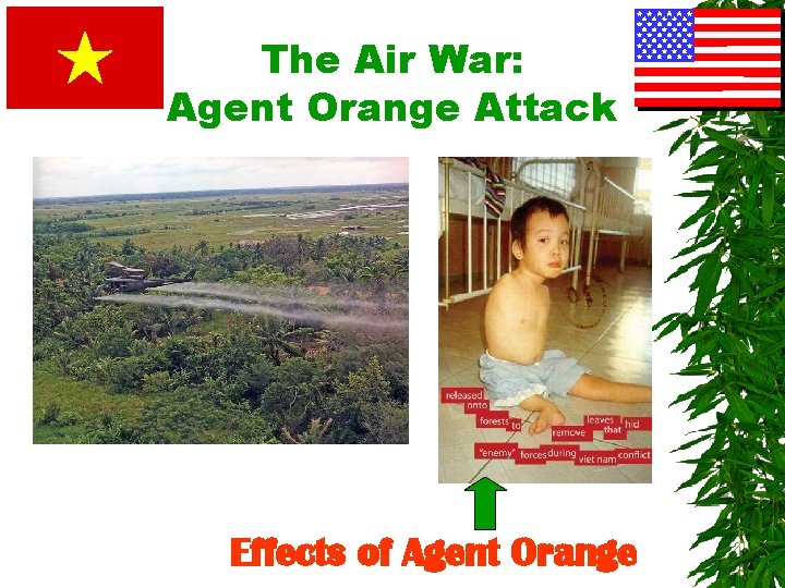 The Air War: Agent Orange Attack Effects of Agent Orange 