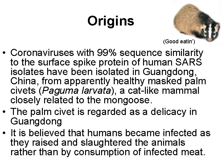 Origins (Good eatin’) • Coronaviruses with 99% sequence similarity to the surface spike protein