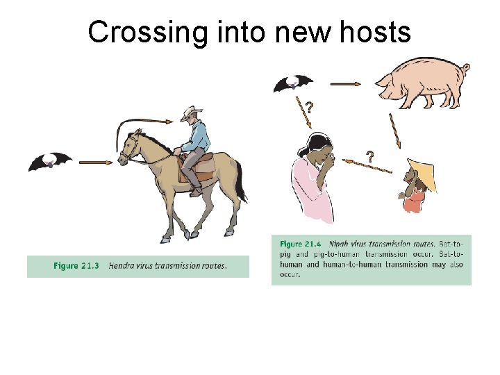 Crossing into new hosts 