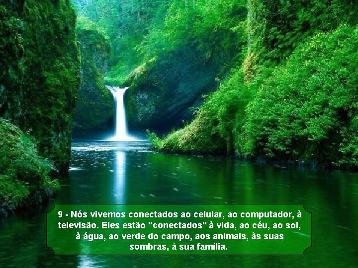 9 - Nós vivemos conectados ao celular, ao computador, à televisão. Eles estão "conectados"