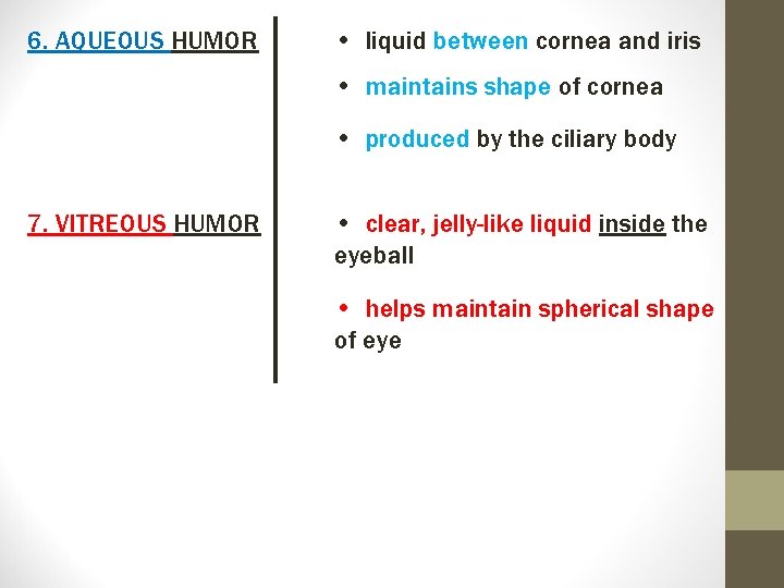 6. AQUEOUS HUMOR • liquid between cornea and iris • maintains shape of cornea