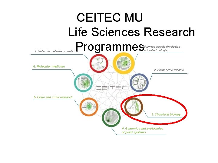 CEITEC MU Life Sciences Research Programmes 7. Molecular veterinary medicine 6. Molecular medicine 1.