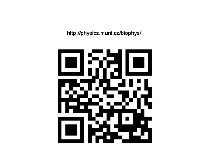 http: //physics. muni. cz/biophys/ 