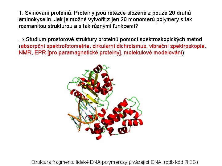 1. Svinování proteinů: Proteiny jsou řetězce složené z pouze 20 druhů aminokyselin. Jak je