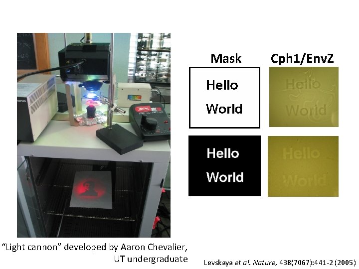 Mask “Light cannon” developed by Aaron Chevalier, UT undergraduate Cph 1/Env. Z Levskaya et