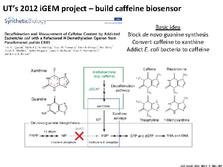 UT’s 2012 i. GEM project – build caffeine biosensor Basic idea Block de novo