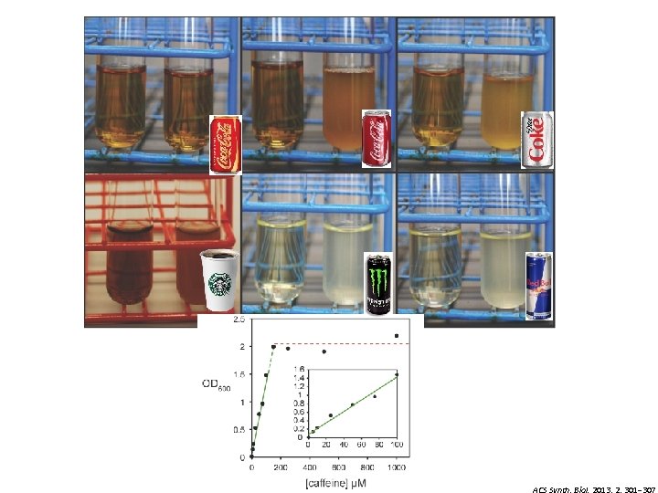 ACS Synth. Biol. 2013, 2, 301− 307 