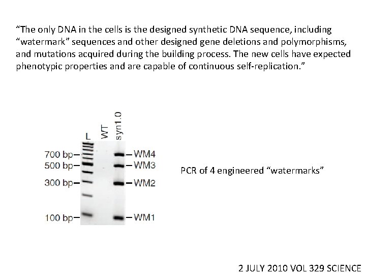 “The only DNA in the cells is the designed synthetic DNA sequence, including “watermark”