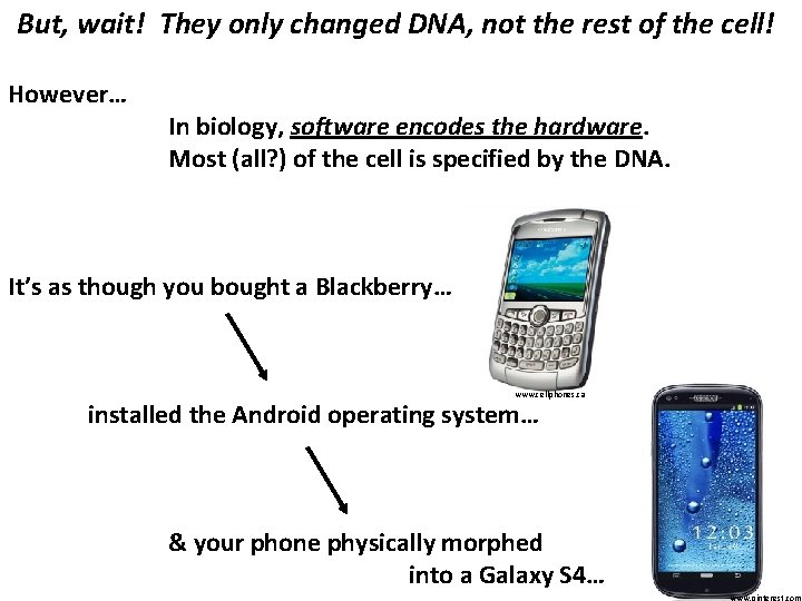 But, wait! They only changed DNA, not the rest of the cell! However… In