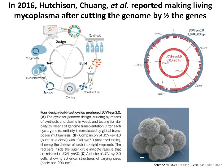 In 2016, Hutchison, Chuang, et al. reported making living mycoplasma after cutting the genome