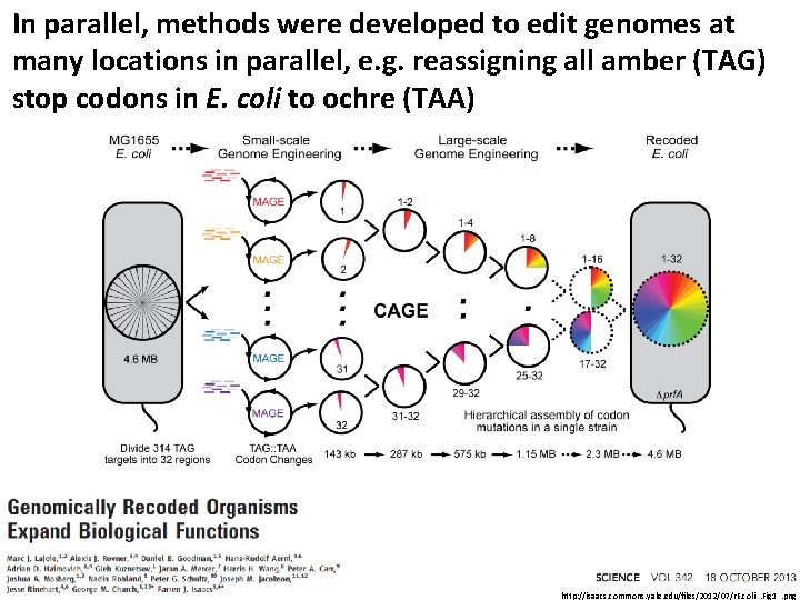 In parallel, methods were developed to edit genomes at many locations in parallel, e.