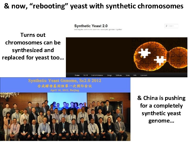 & now, “rebooting” yeast with synthetic chromosomes Turns out chromosomes can be synthesized and