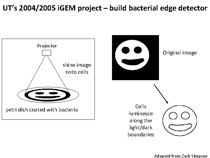UT’s 2004/2005 i. GEM project – build bacterial edge detector Projector Original image shine