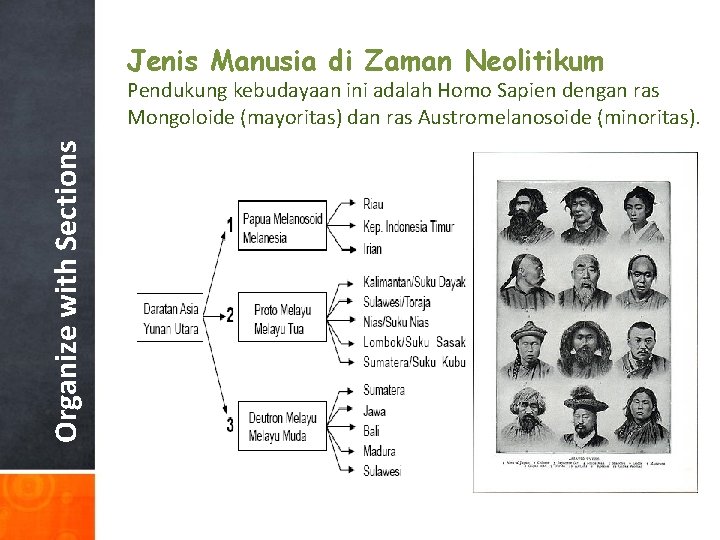 Jenis Manusia di Zaman Neolitikum Organize with Sections Pendukung kebudayaan ini adalah Homo Sapien