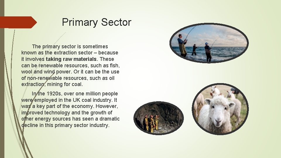 Primary Sector The primary sector is sometimes known as the extraction sector – because