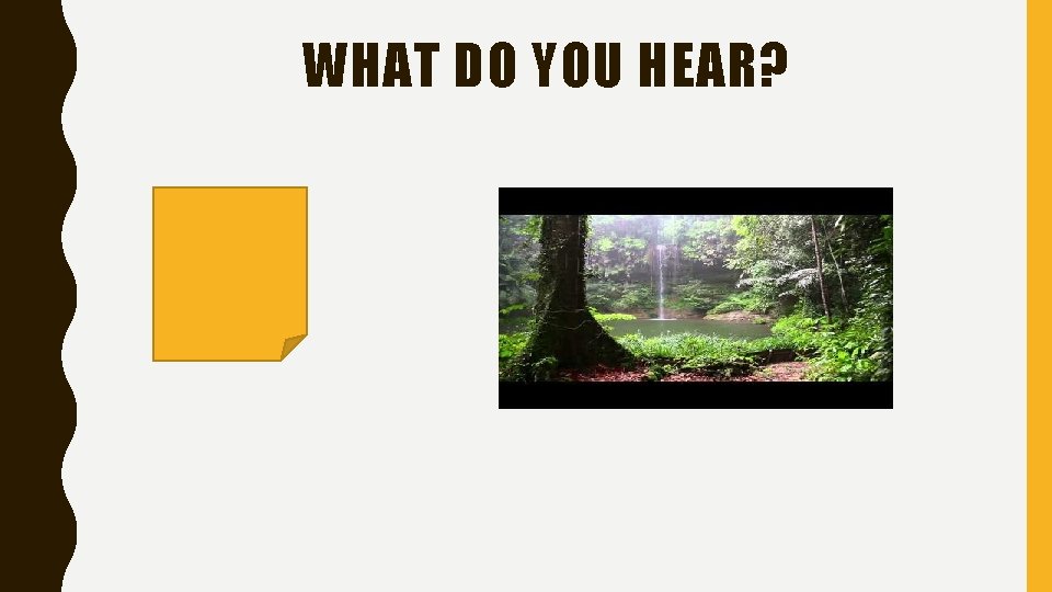 WHAT DO YOU HEAR? • Birds • Thunder • Rain 