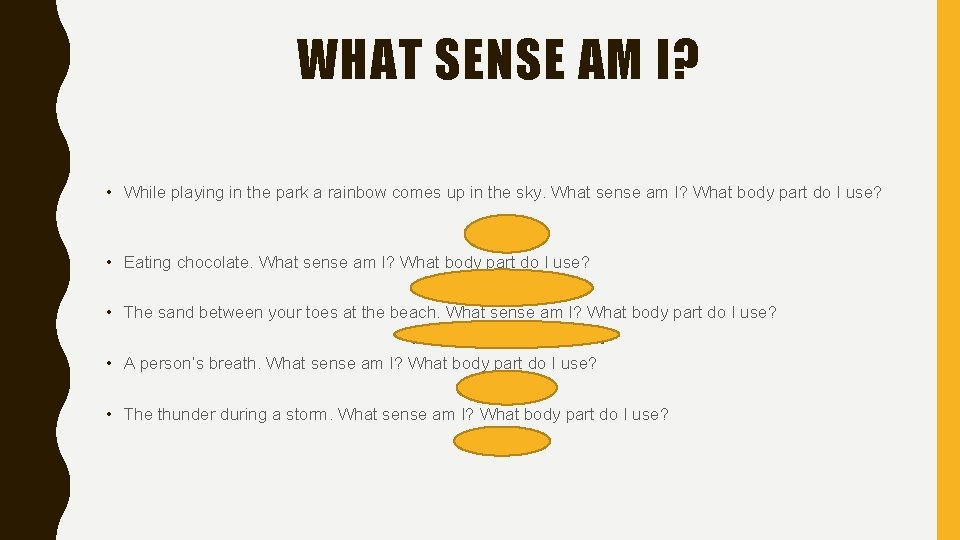 WHAT SENSE AM I? • While playing in the park a rainbow comes up