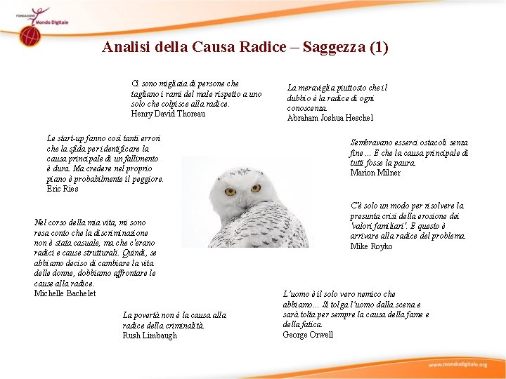 Analisi della Causa Radice – Saggezza (1) Ci sono migliaia di persone che tagliano