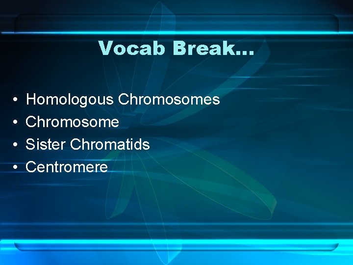 Vocab Break… • • Homologous Chromosome Sister Chromatids Centromere 