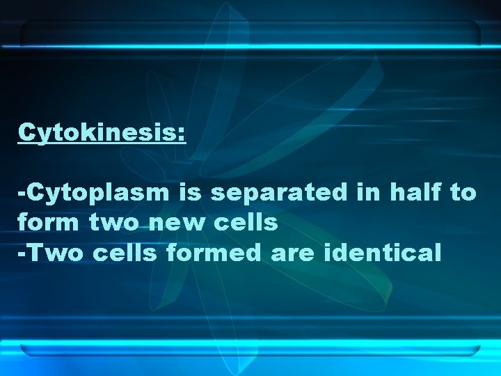 Cytokinesis: -Cytoplasm is separated in half to form two new cells -Two cells formed