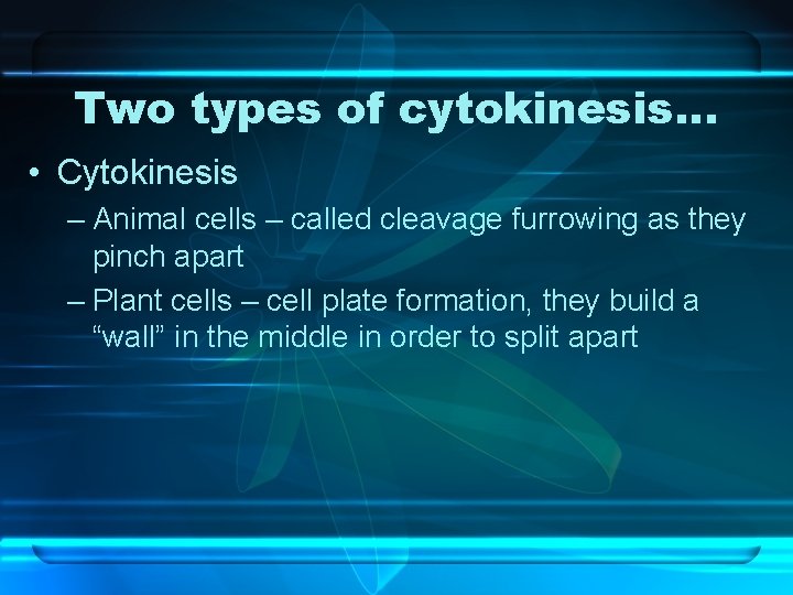 Two types of cytokinesis… • Cytokinesis – Animal cells – called cleavage furrowing as