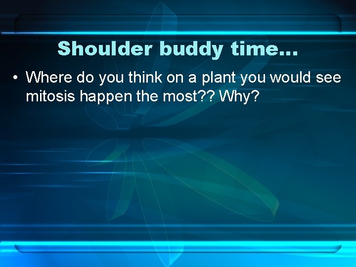 Shoulder buddy time… • Where do you think on a plant you would see
