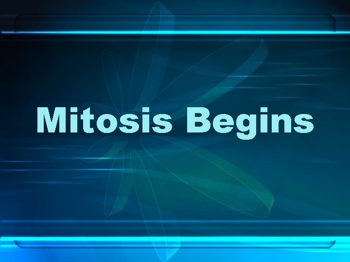 Mitosis Begins 