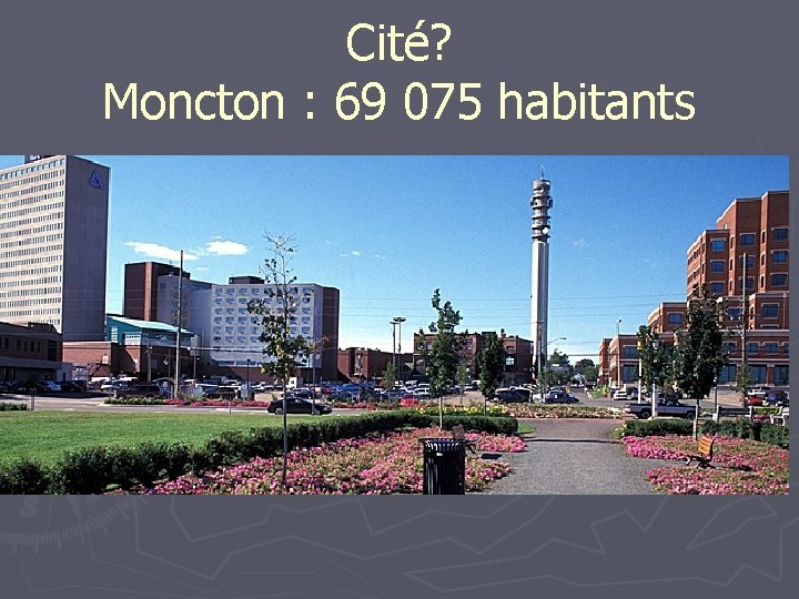 Cité? Moncton : 69 075 habitants 
