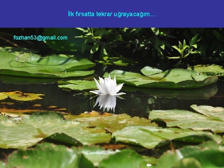 İlk fırsatta tekrar uğrayacağım… fozhan 53@gmail. com 