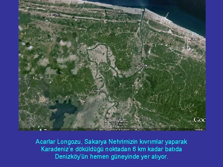 Acarlar Longozu, Sakarya Nehrimizin kıvrımlar yaparak Karadeniz’e döküldüğü noktadan 6 km kadar batıda Denizköy’ün