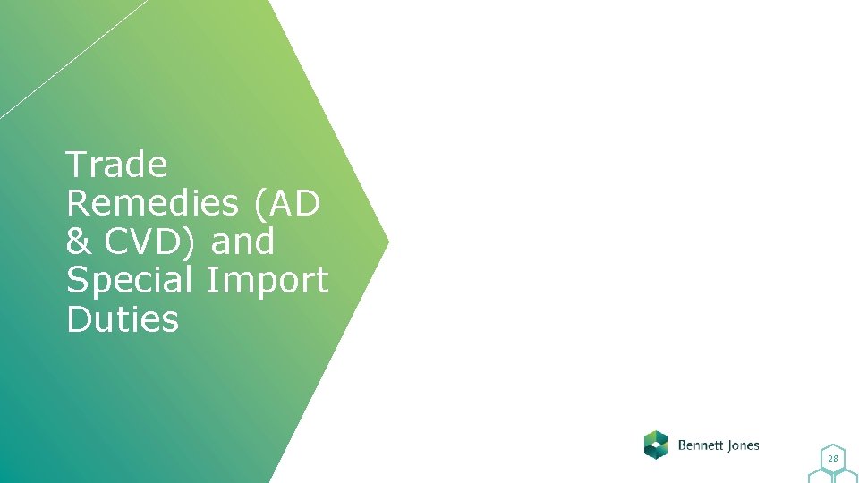 Trade Remedies (AD & CVD) and Special Import Duties 28 